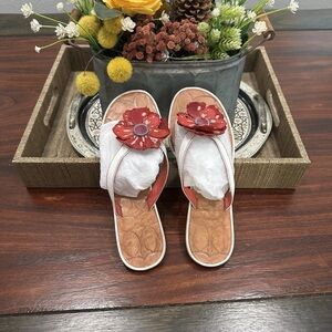 Coach Shoes Women's Size 9 Black Floral  Sandals